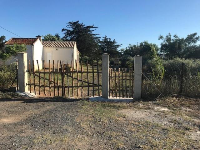 Mazet Nimisa * Marseillan (Herault)